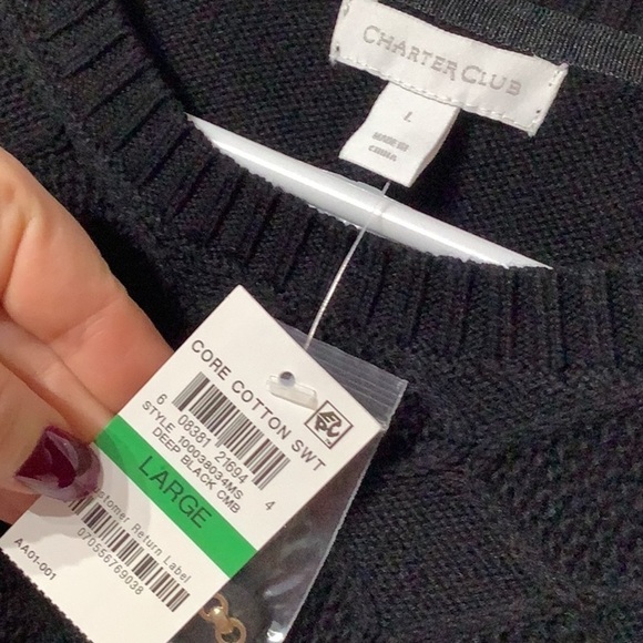 Charter Club NWT - Sz L - Deep Black color block core cotton sweater - Picture 3 of 5